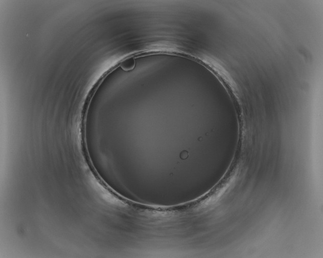 X0000111860941200907231449