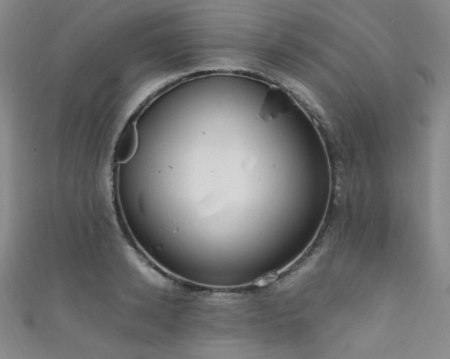 X0000111860942200907231449