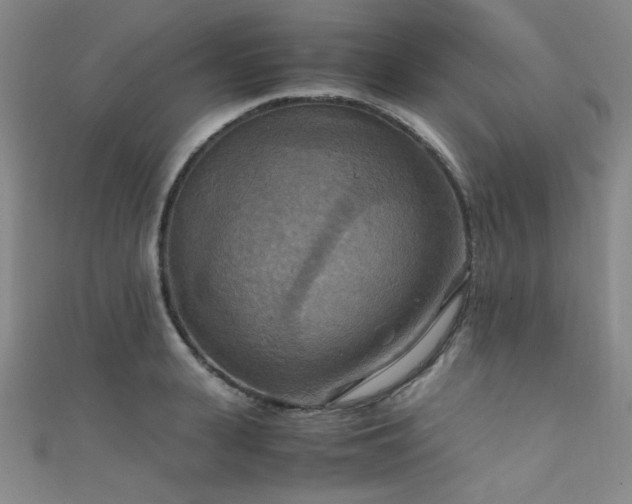 X0000111860943200907231449