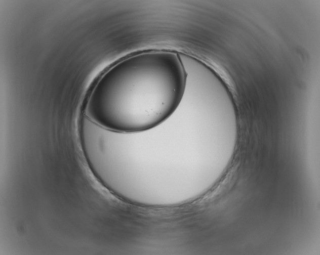 X0000111860944200907231449