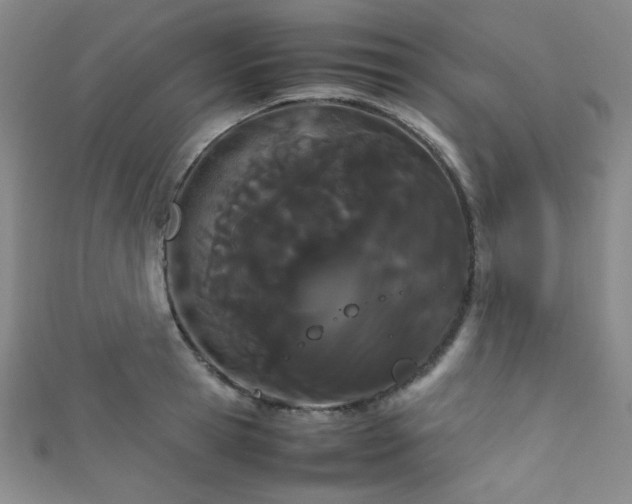 X0000111860945200907231449