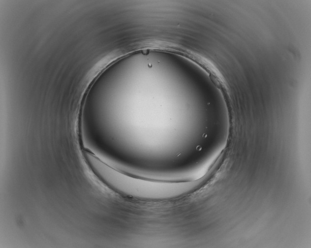 X0000111860946200907231449