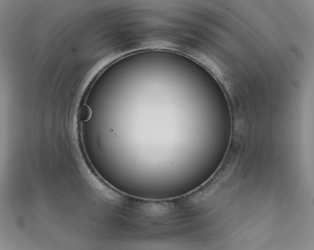 X0000111860947200907231449