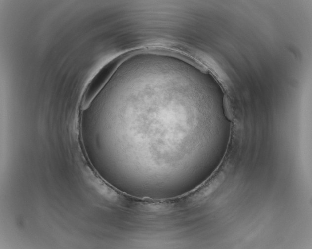X0000111860948200907231449