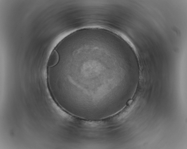 X0000111860951200907231449