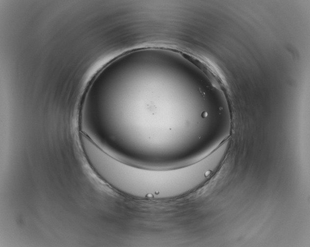 X0000111860952200907231449