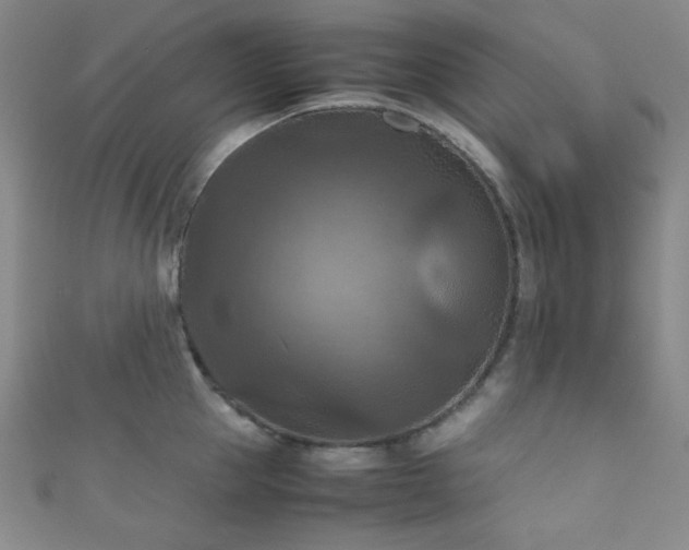 X0000111860953200907231449