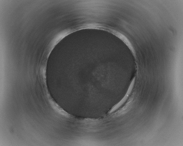 X0000111860954200907231449
