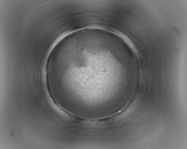 X0000111860955200907231449