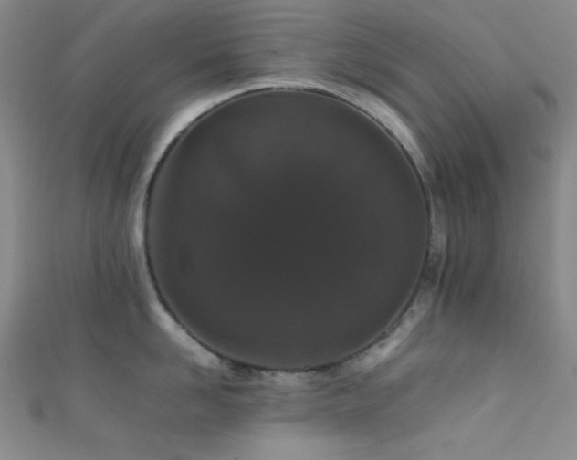 X0000111860958200907231449