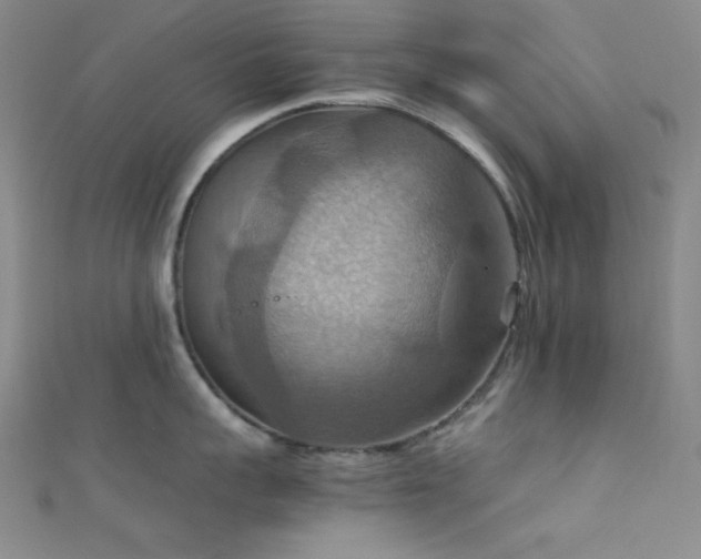 X0000111860959200907231449