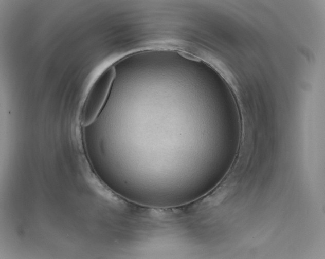 X0000111860960200907231449
