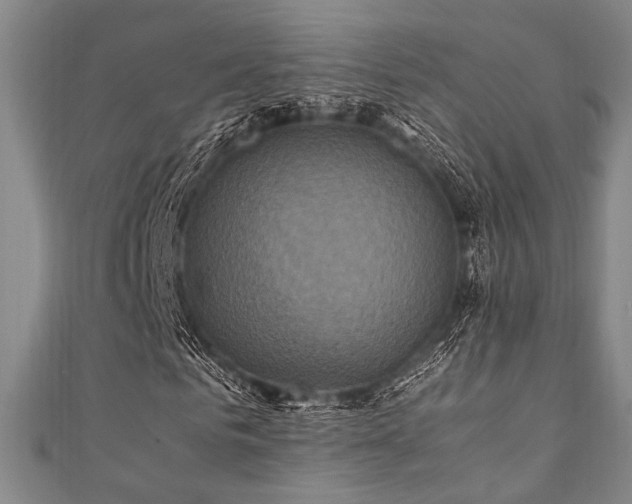 X0000111860961200907231448