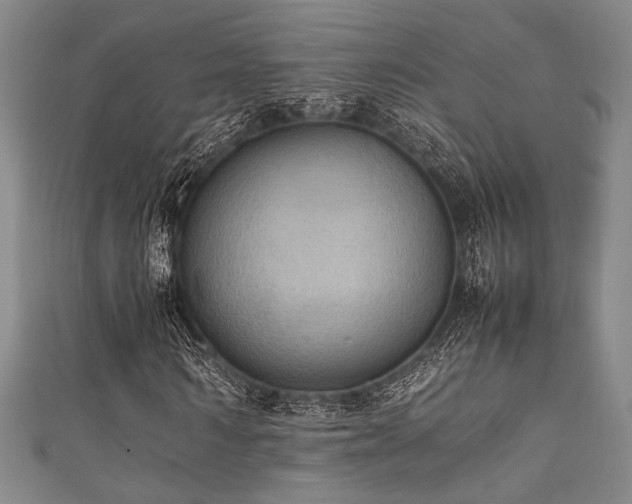 X0000111860962200907231448
