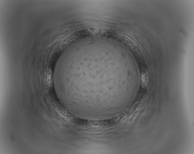 X0000111860963200907231448