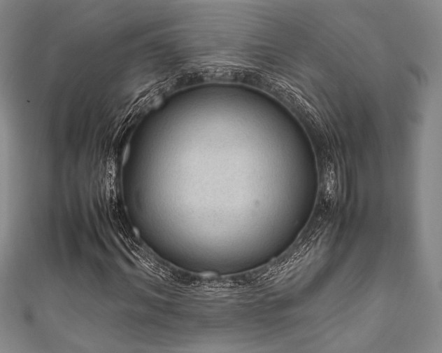 X0000111860964200907231448