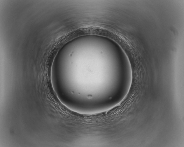 X0000111860965200907231448