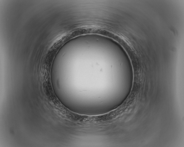 X0000111860967200907231448
