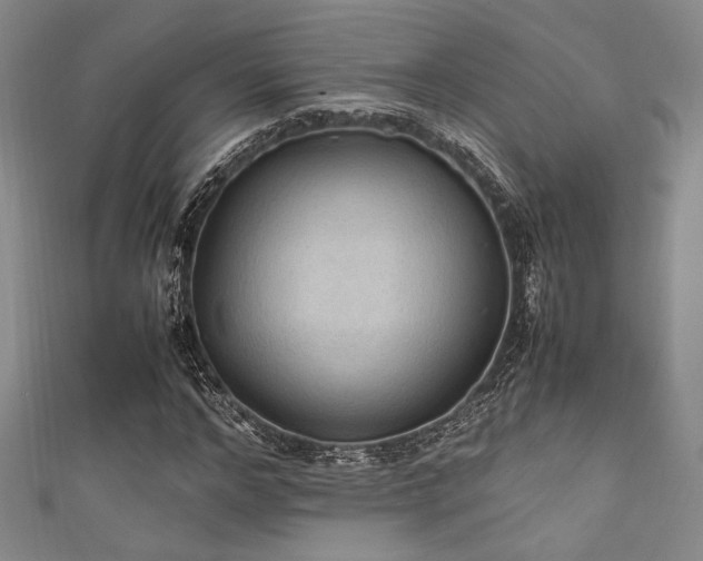 X0000111860968200907231448