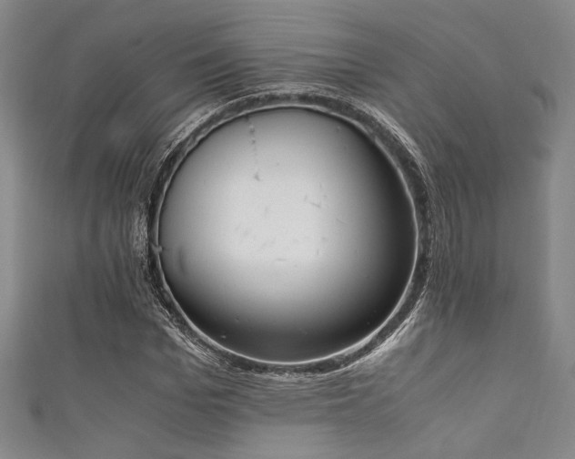 X0000111860969200907231448