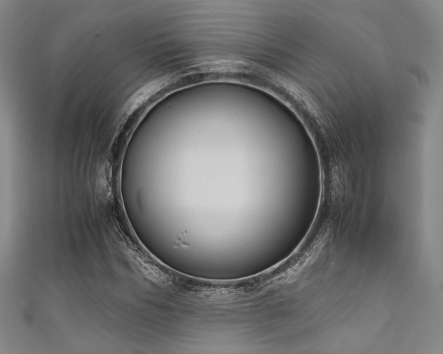 X0000111860970200907231448