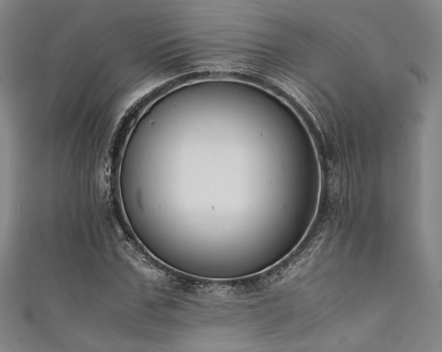 X0000111860971200907231448