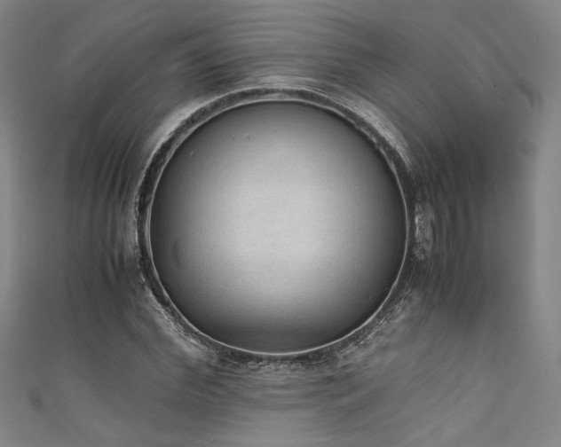 X0000111860972200907231448
