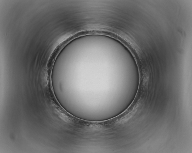 X0000111860974200907231448