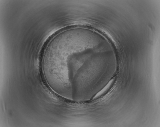 X0000111860975200907231448