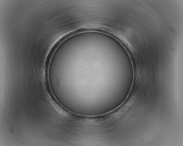 X0000111860976200907231448