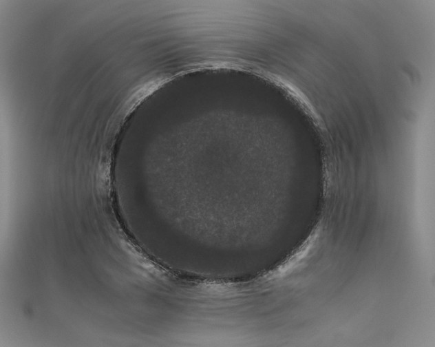 X0000111860977200907231448
