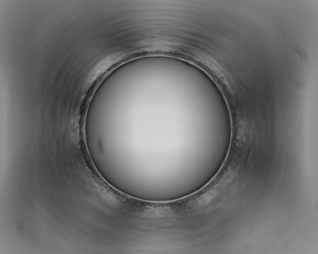 X0000111860978200907231448