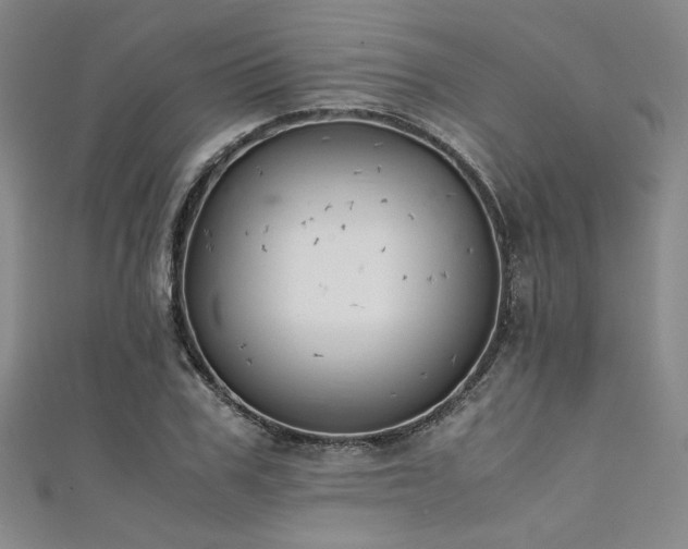 X0000111860979200907231448