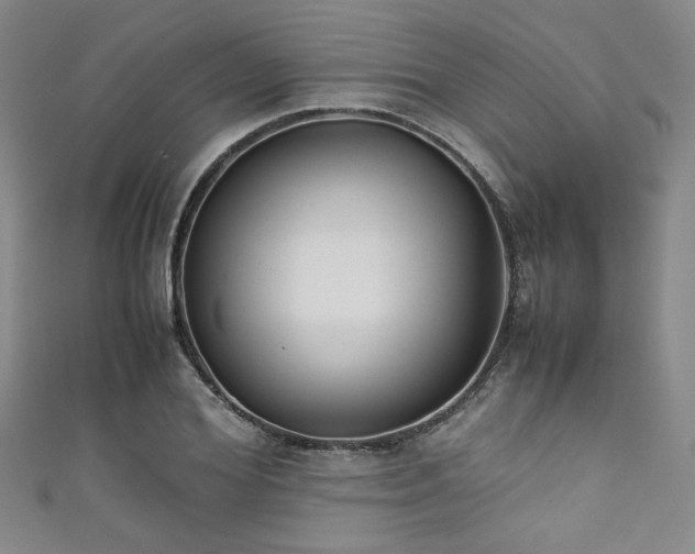 X0000111860980200907231448