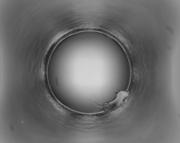 X0000111860981200907231448