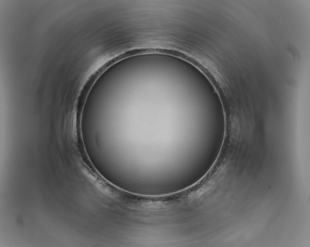 X0000111860982200907231448