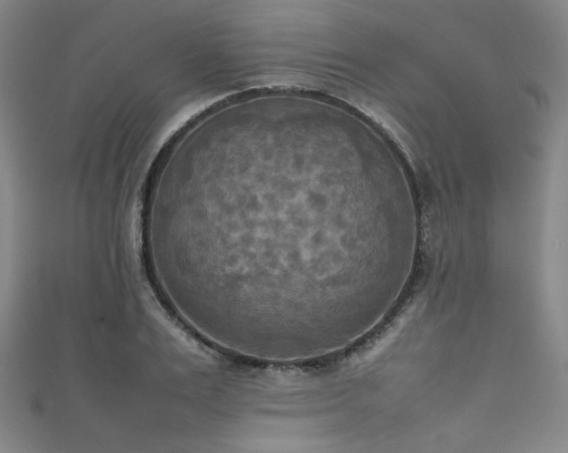 X0000111860983200907231448