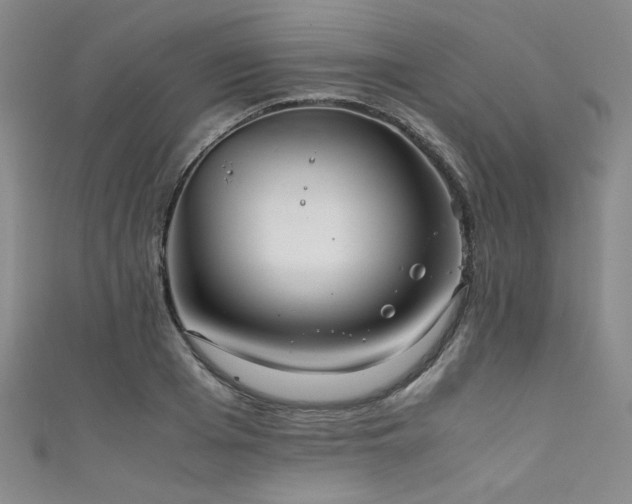 X0000111860985200907231448