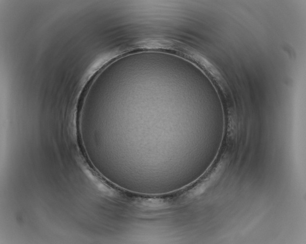 X0000111860986200907231448