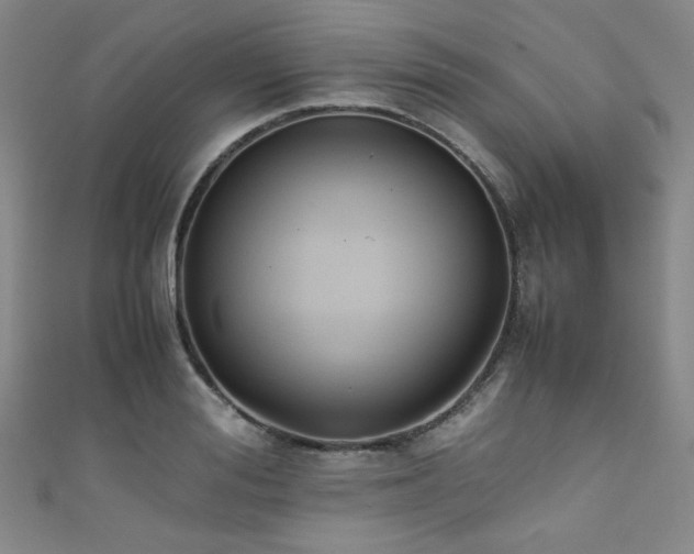 X0000111860988200907231448