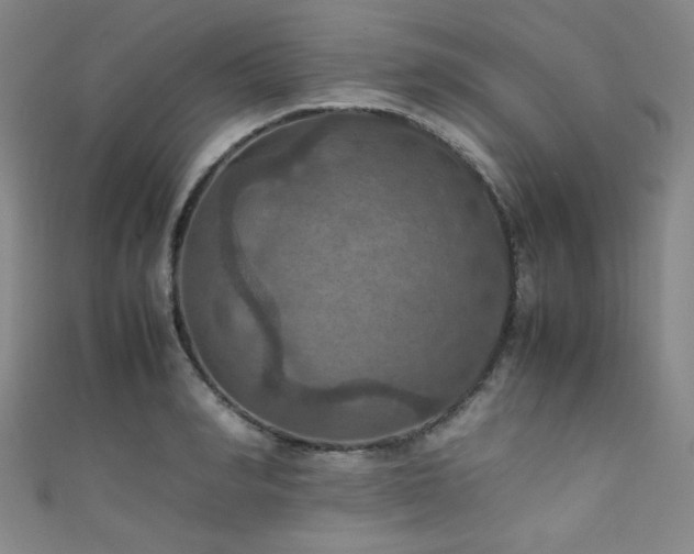 X0000111860990200907231448