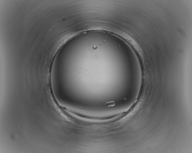 X0000111860993200907231448