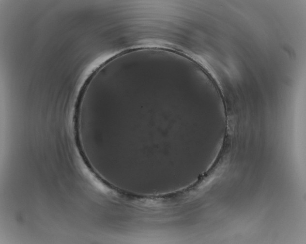 X0000111860995200907231448