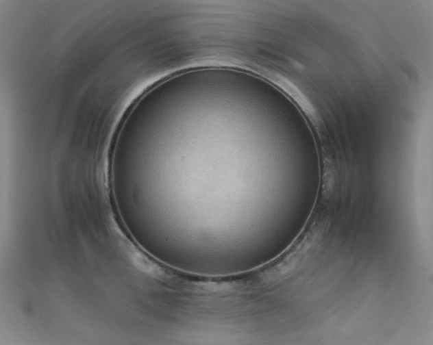 X0000111860996200907231448