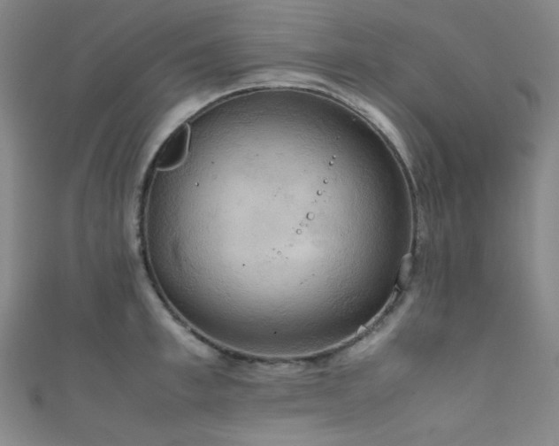 X0000111860997200907231448