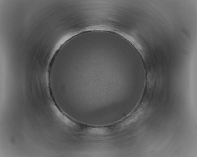 X0000111860998200907231448