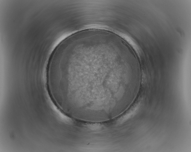 X0000111860999200907231448