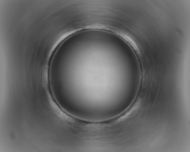 X0000111861000200907231448