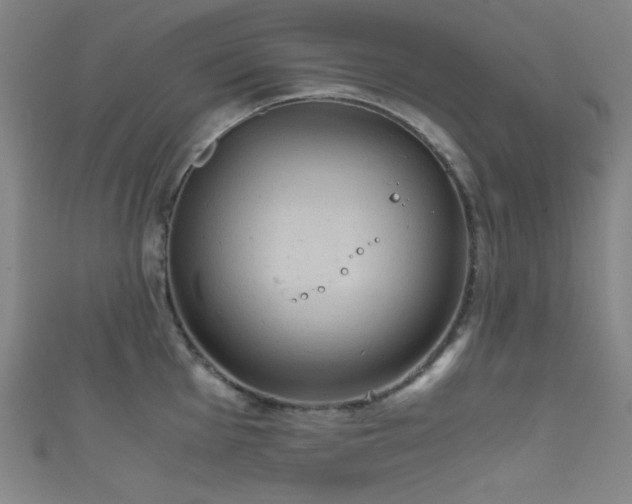 X0000111861001200907231448