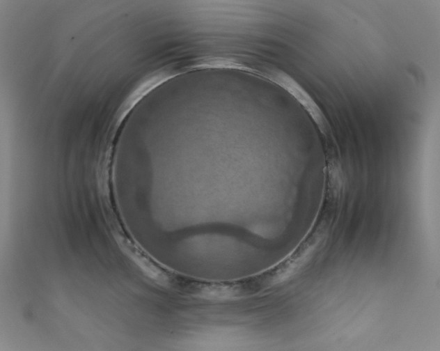 X0000111861002200907231448